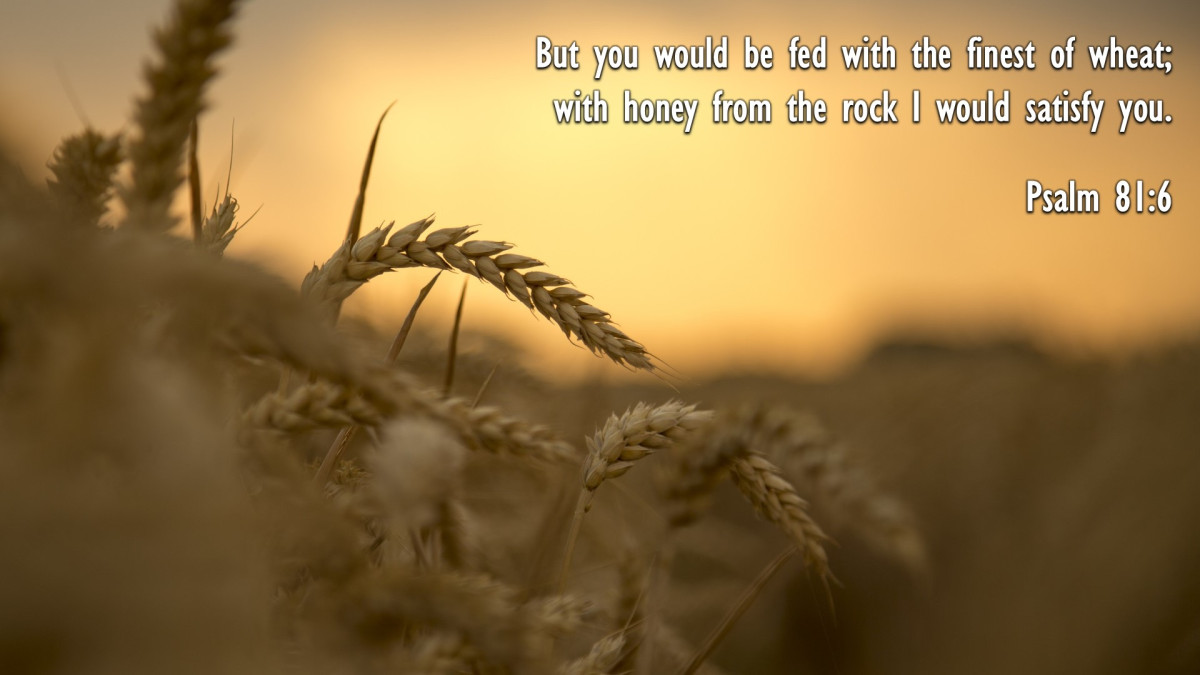 Lighthope's Beacon Psalm 81 The DEFCON Warning System™